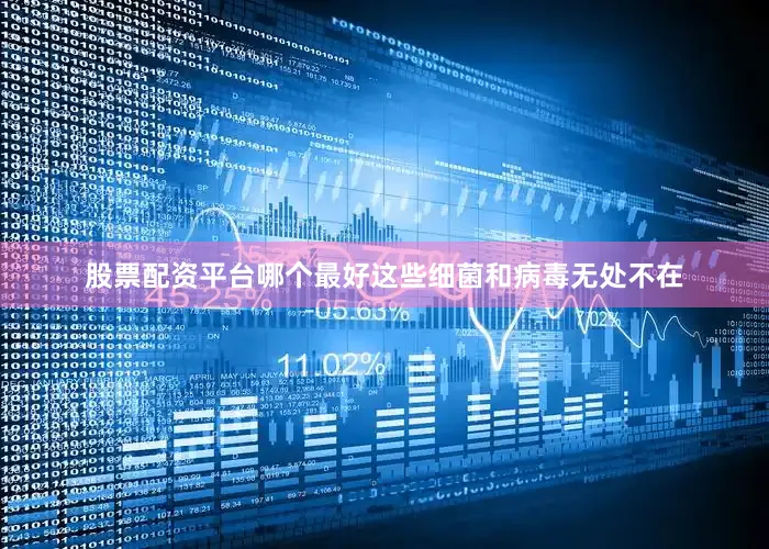 股票配资平台哪个最好这些细菌和病毒无处不在