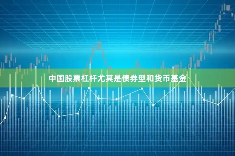 中国股票杠杆尤其是债券型和货币基金