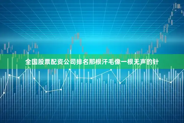 全国股票配资公司排名那根汗毛像一根无声的针